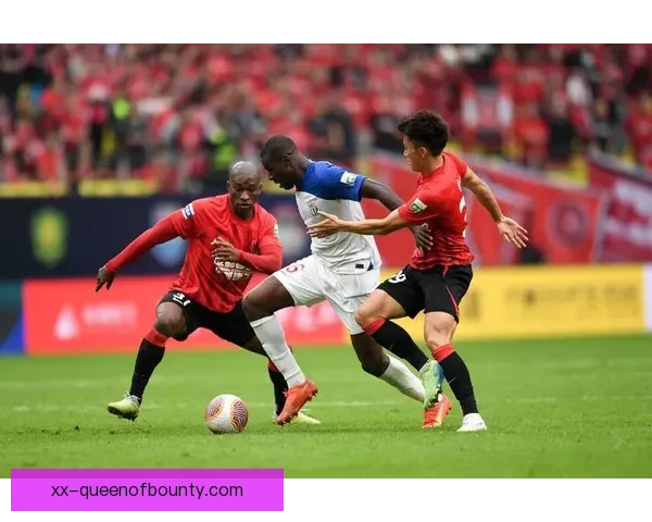 中国足球开启史上最严格职业联赛准入审核机制